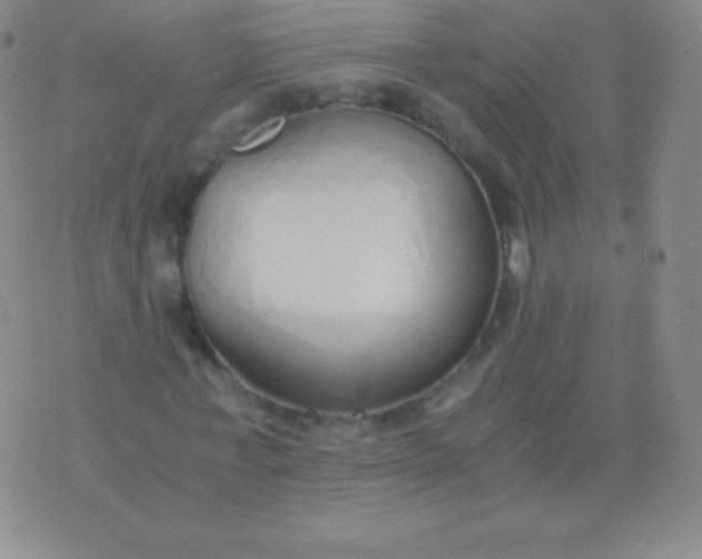 X0000076250771200610122204