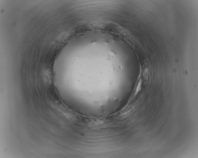 X0000076250772200610122204