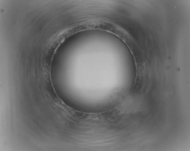 X0000076250773200610122204