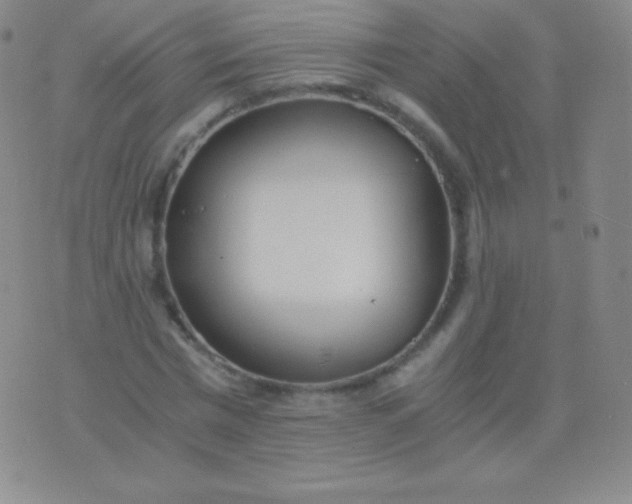 X0000076250777200610122204