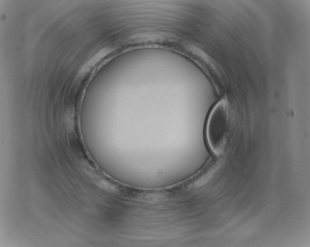 X0000076250778200610122204