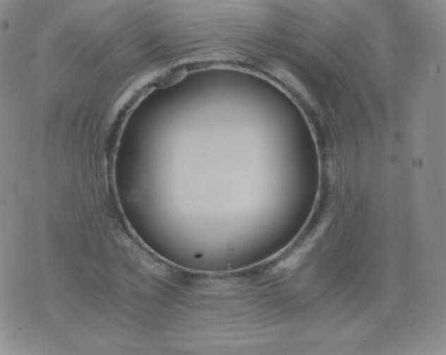 X0000076250781200610122204