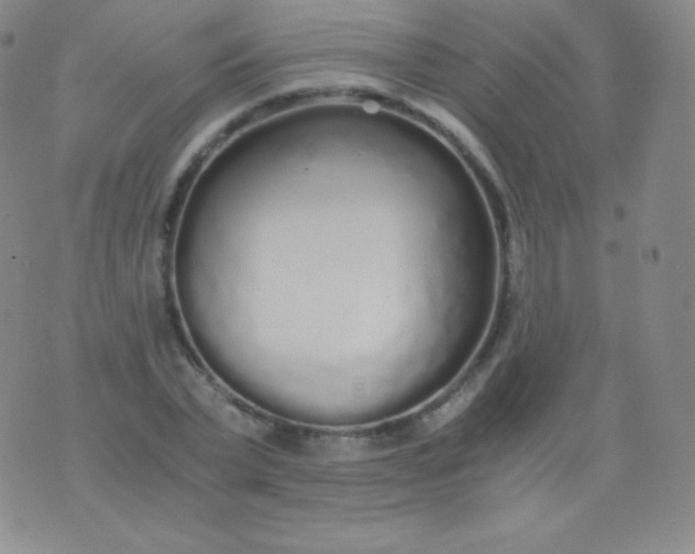 X0000076250783200610122204