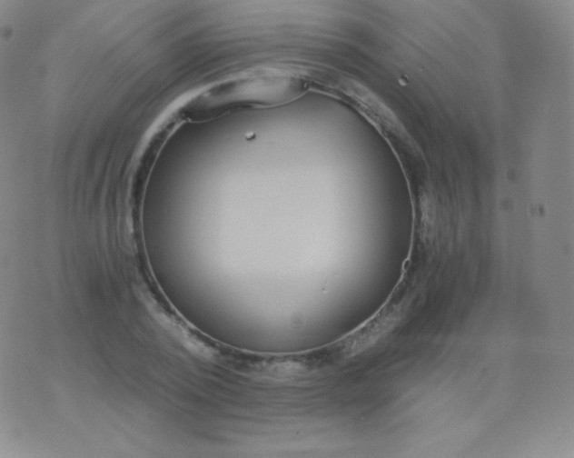 X0000076250784200610122204