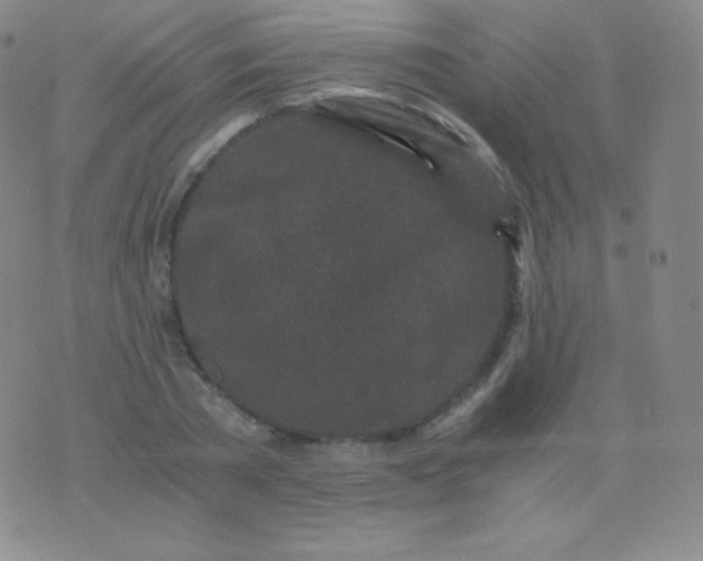 X0000076250785200610122204