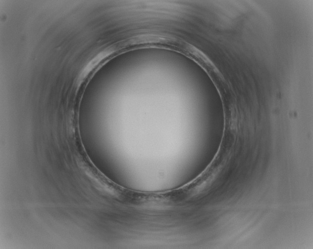 X0000076250786200610122204