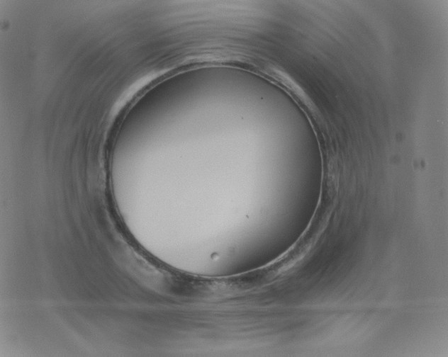 X0000076250787200610122204