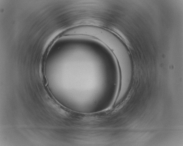 X0000076250788200610122204