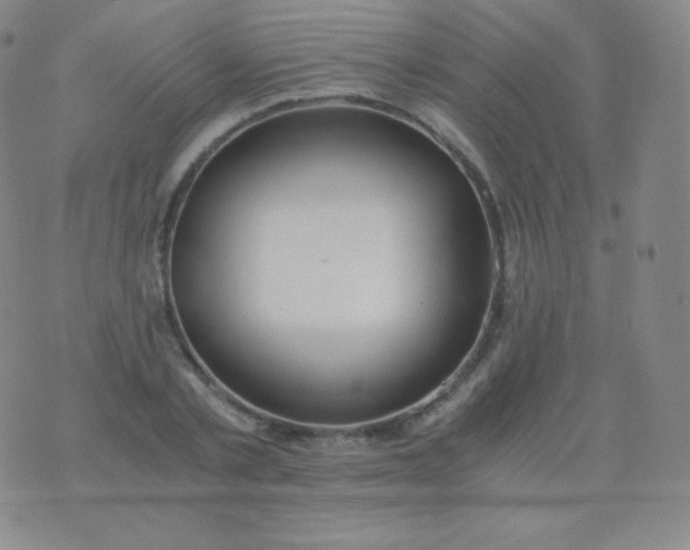 X0000076250789200610122204