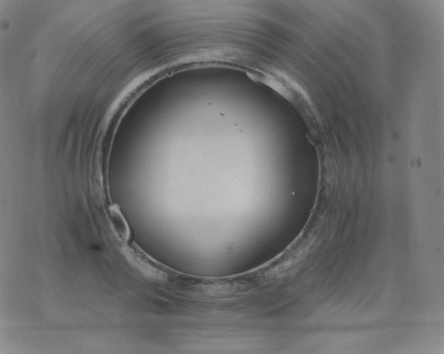 X0000076250792200610122204