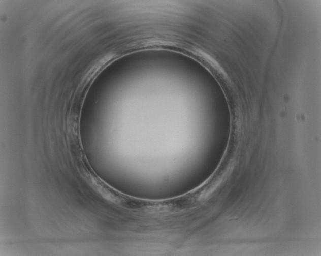 X0000076250793200610122204