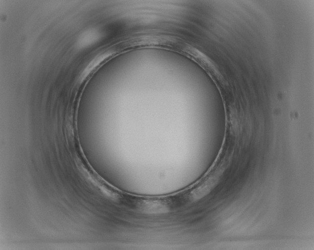 X0000076250794200610122204