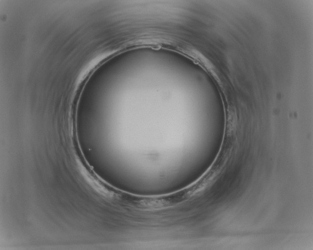 X0000076250795200610122204