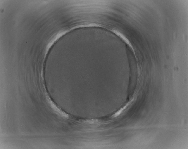 X0000076250797200610122204