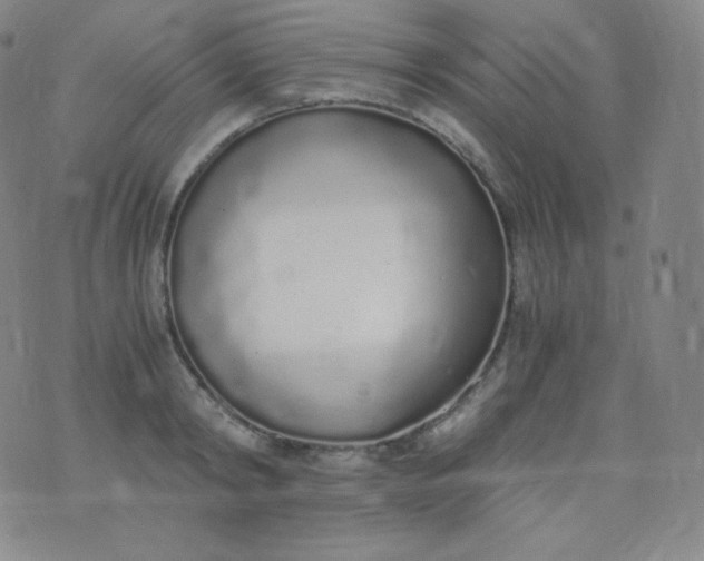 X0000076250798200610122204