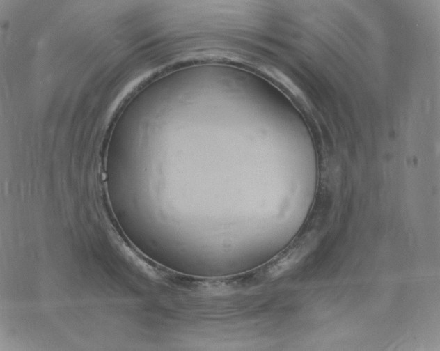 X0000076250799200610122204