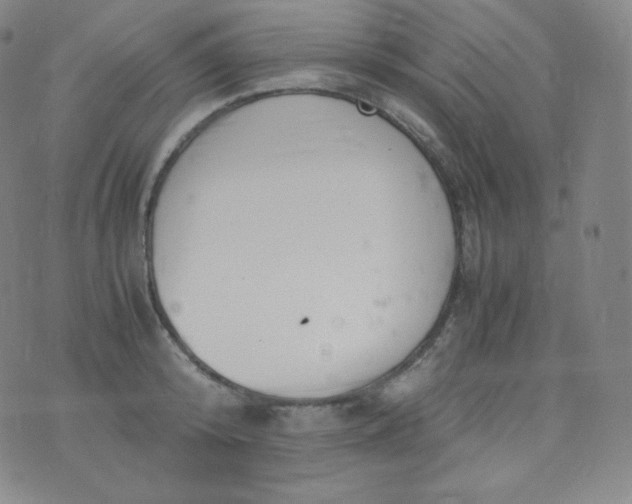 X0000076250800200610122204