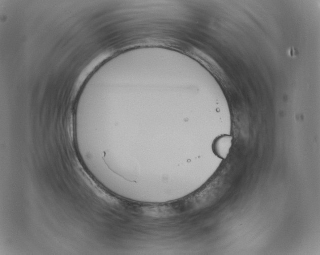 X0000076250804200610122204