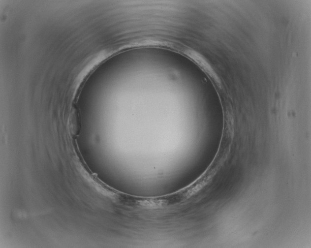 X0000076250805200610122204