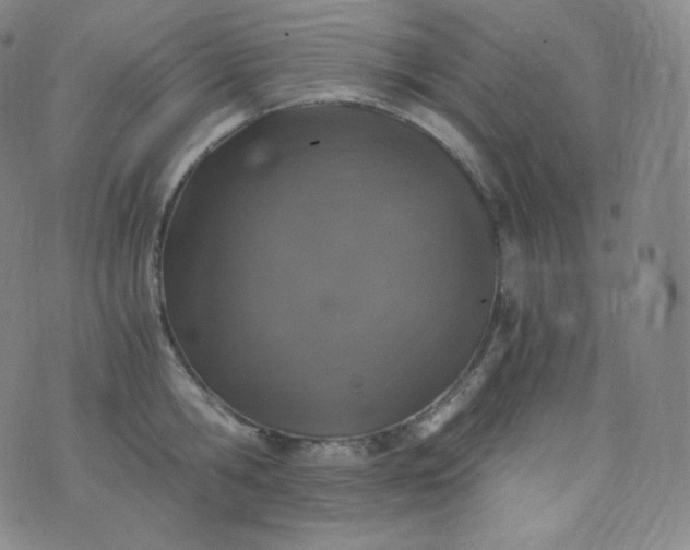 X0000076250806200610122204