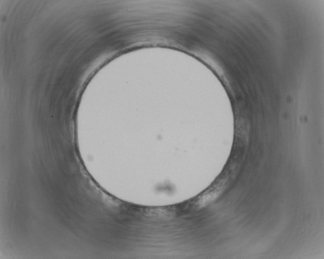 X0000076250807200610122204