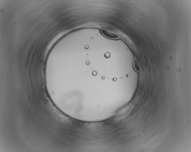 X0000076250808200610122204