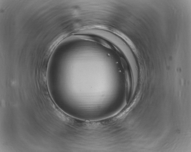 X0000076250809200610122204