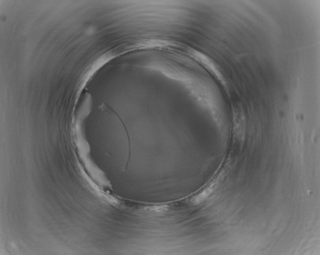 X0000076250810200610122204