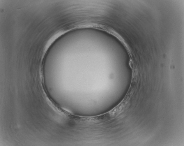 X0000076250811200610122204