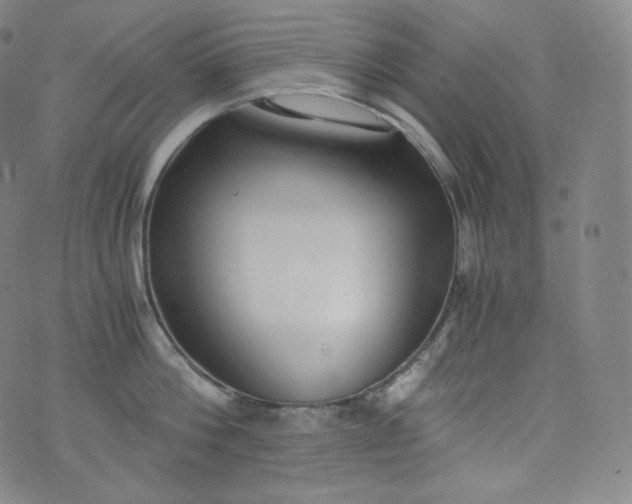 X0000076250812200610122204