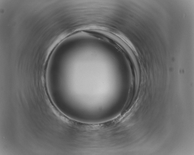 X0000076250813200610122204