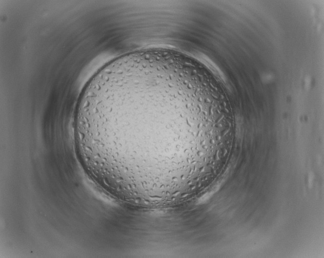 X0000076250814200610122204