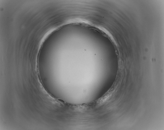 X0000076250815200610122204