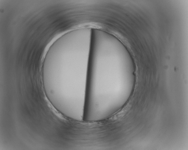 X0000076250816200610122203