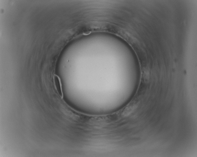 X0000076250817200610122203