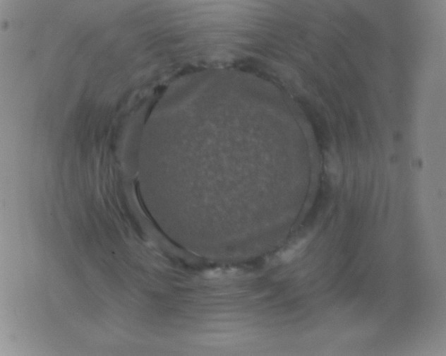 X0000076250818200610122203