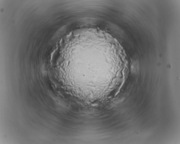 X0000076250819200610122203