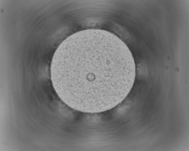 X0000076250820200610122203