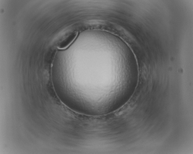 X0000076250821200610122203