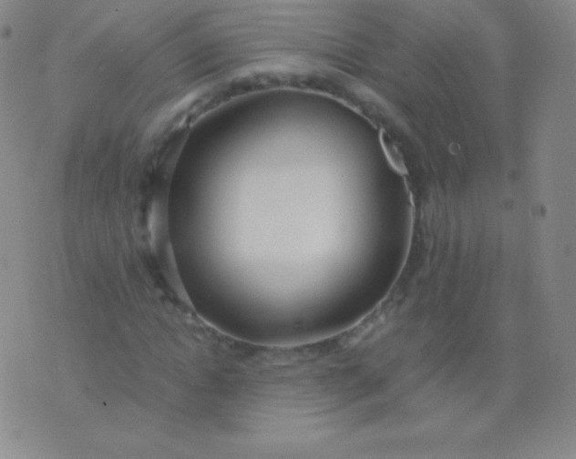 X0000076250822200610122203