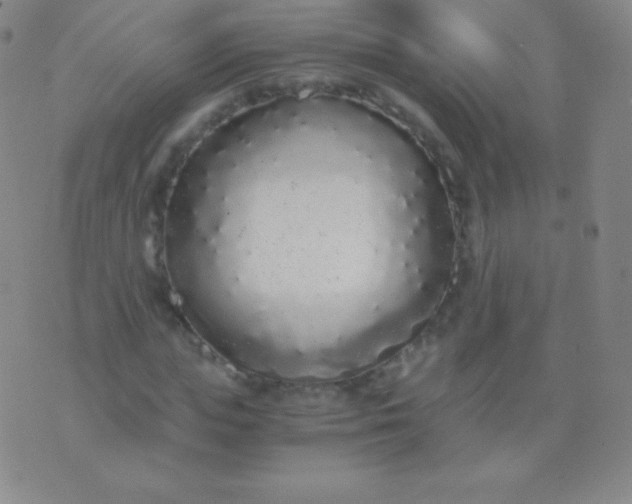 X0000076250823200610122203