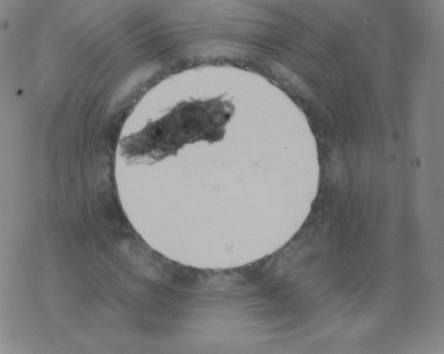 X0000076250824200610122203