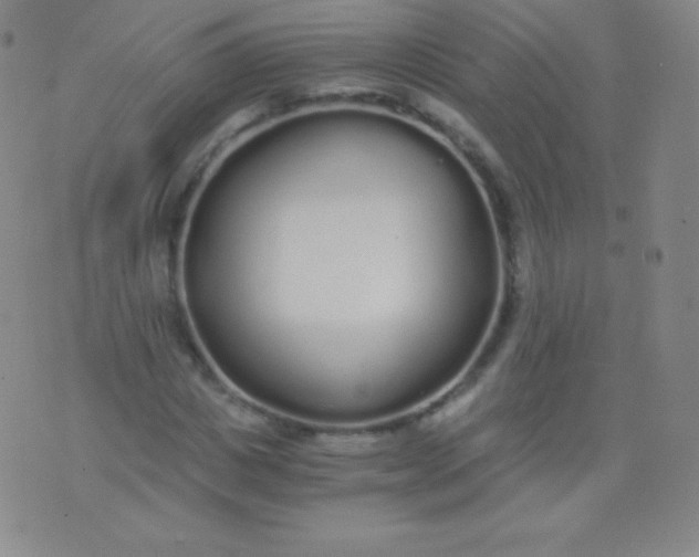 X0000076250825200610122203