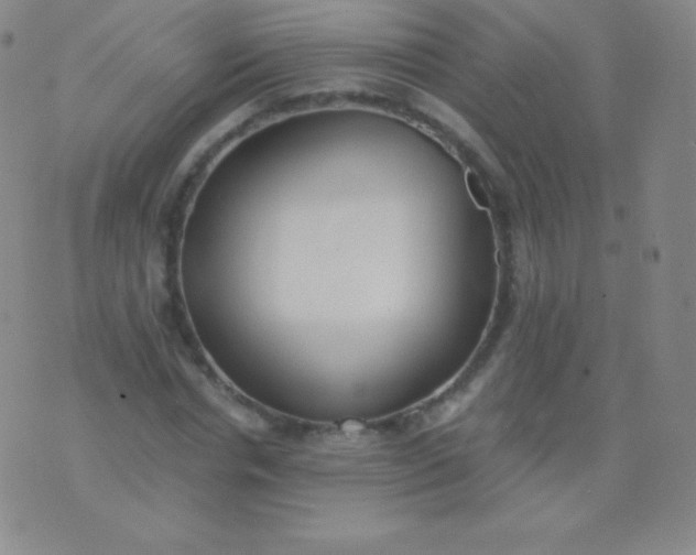 X0000076250826200610122203