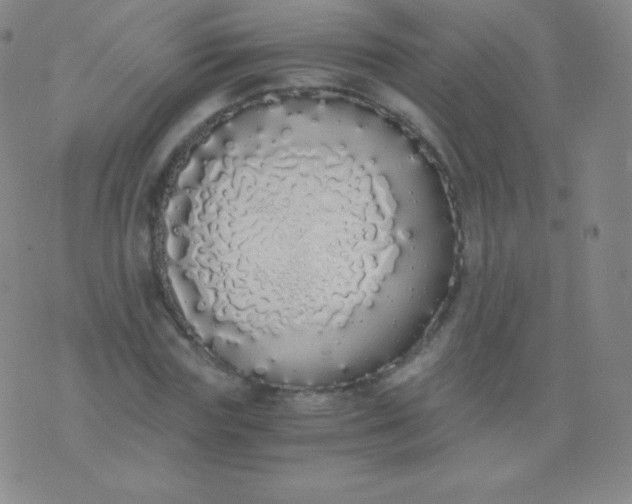 X0000076250827200610122203