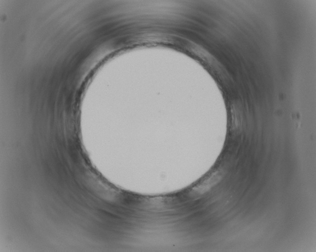 X0000076250828200610122203