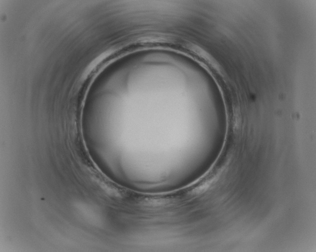 X0000076250829200610122203