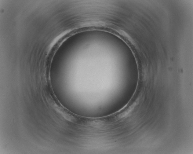 X0000076250830200610122203