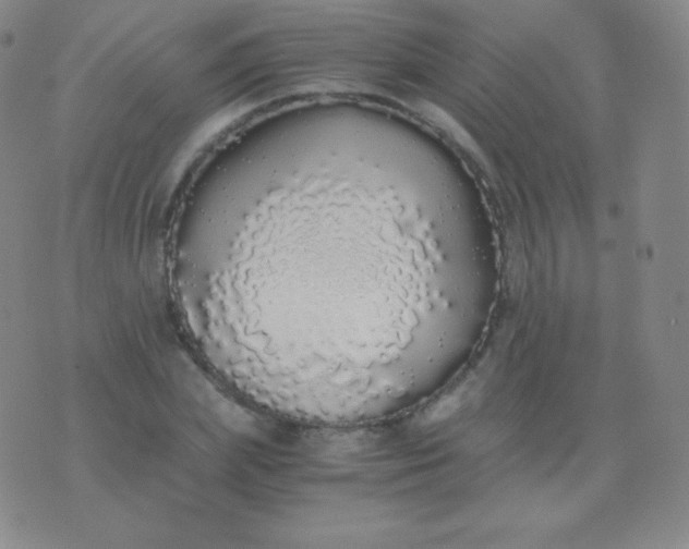 X0000076250831200610122203