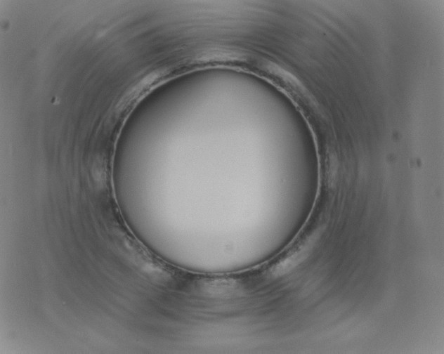 X0000076250833200610122203